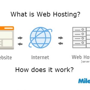 What is Web Hosting and How does it work?