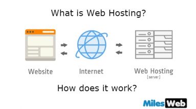 What is Web Hosting and How does it work?